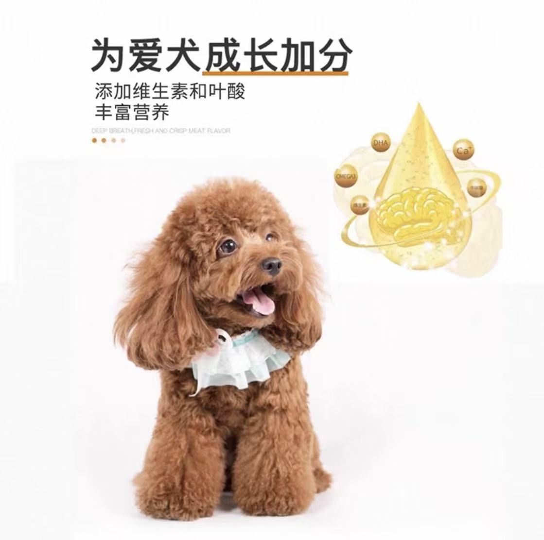 皇品鲜鸡肉狗粮全价成幼犬粮牛肉味金毛泰迪柯基博美10kg20